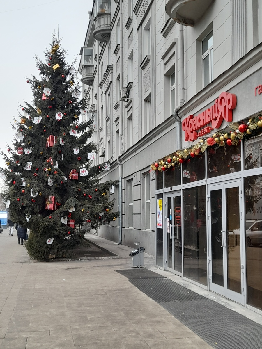 Фото автора.  В городе 2 декабря