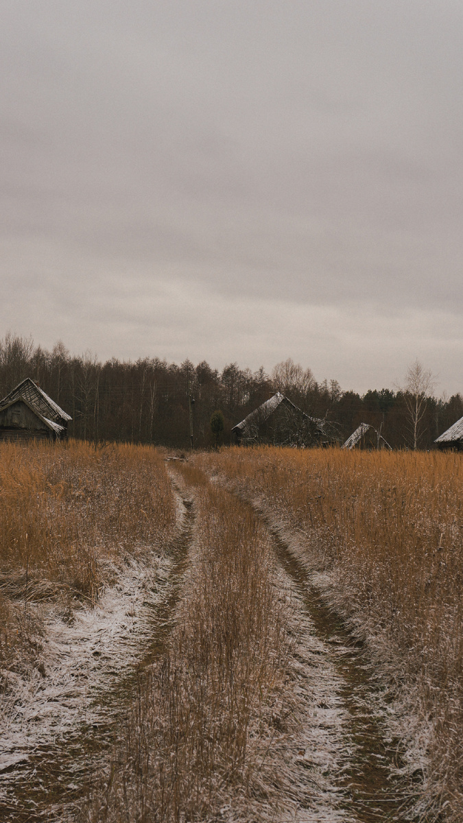 Дорога в деревню с задов 