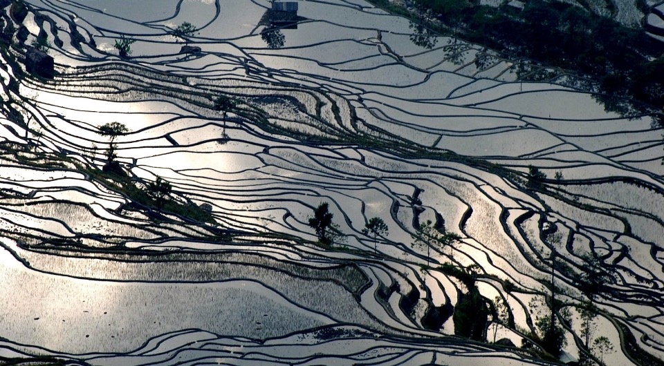   Takeaway / Wikimedia Commons / CC BY-SA 3.0