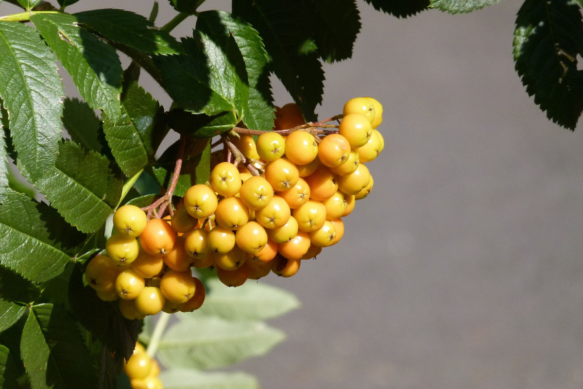 Источник фото: Canva