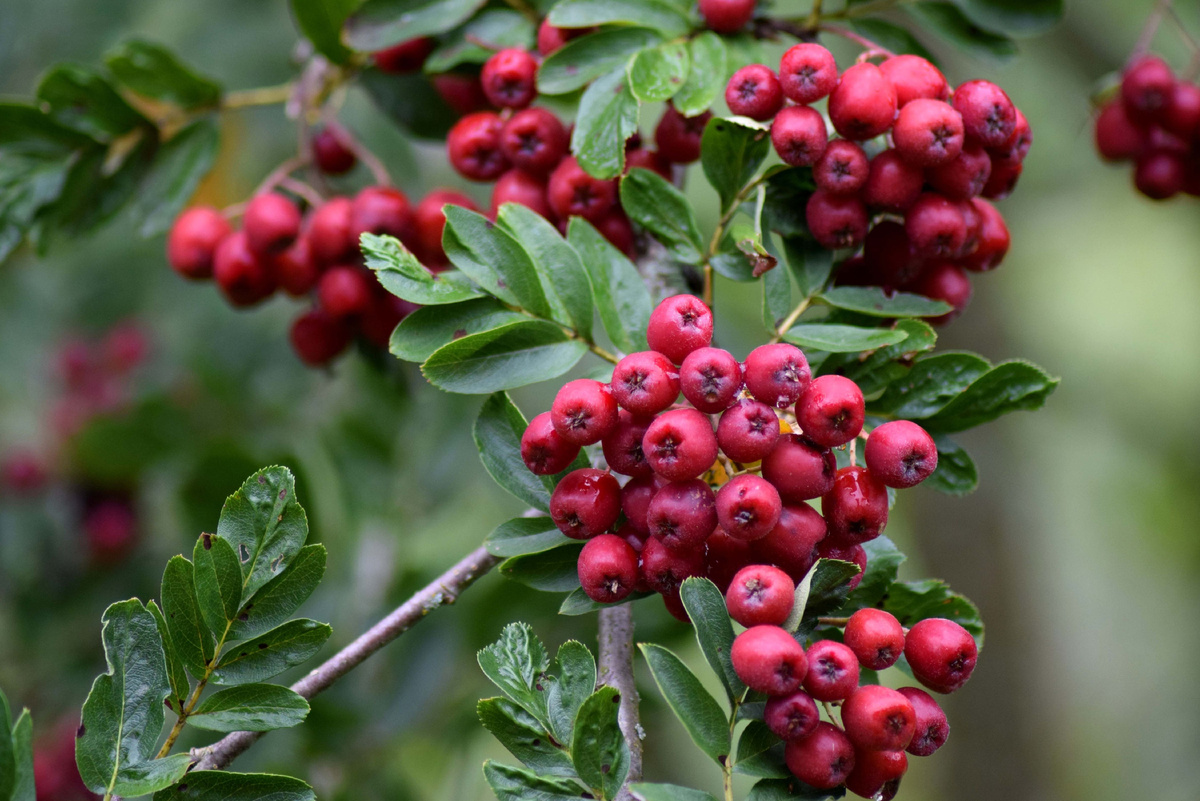 Источник фото: Canva