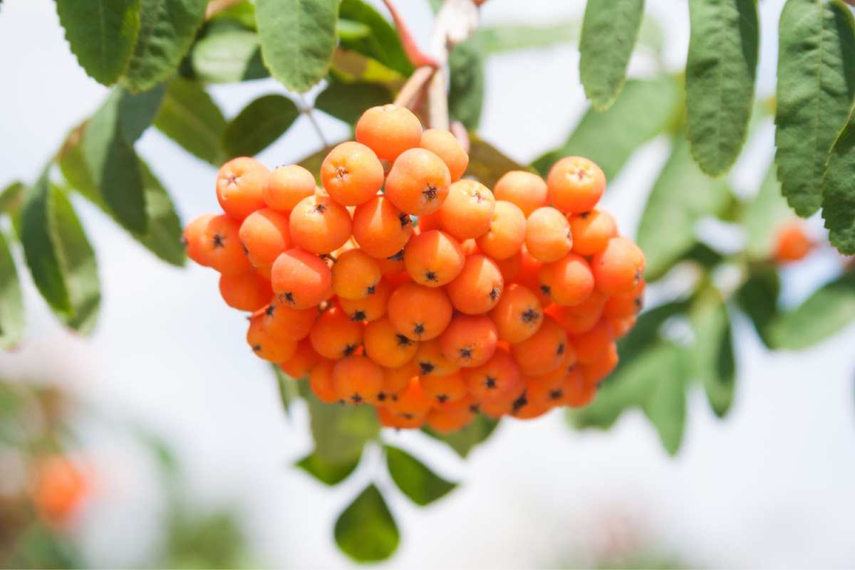 Источник фото: Canva