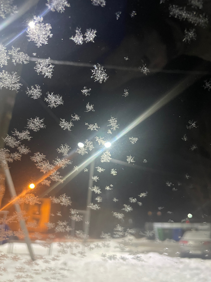 Утром из окна машины