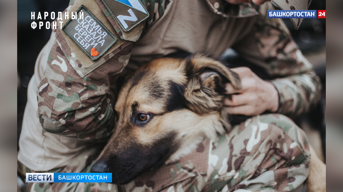    Житель Башкирии отправил из зоны СВО в республику собаку, которую встретил в зоне боевых действий