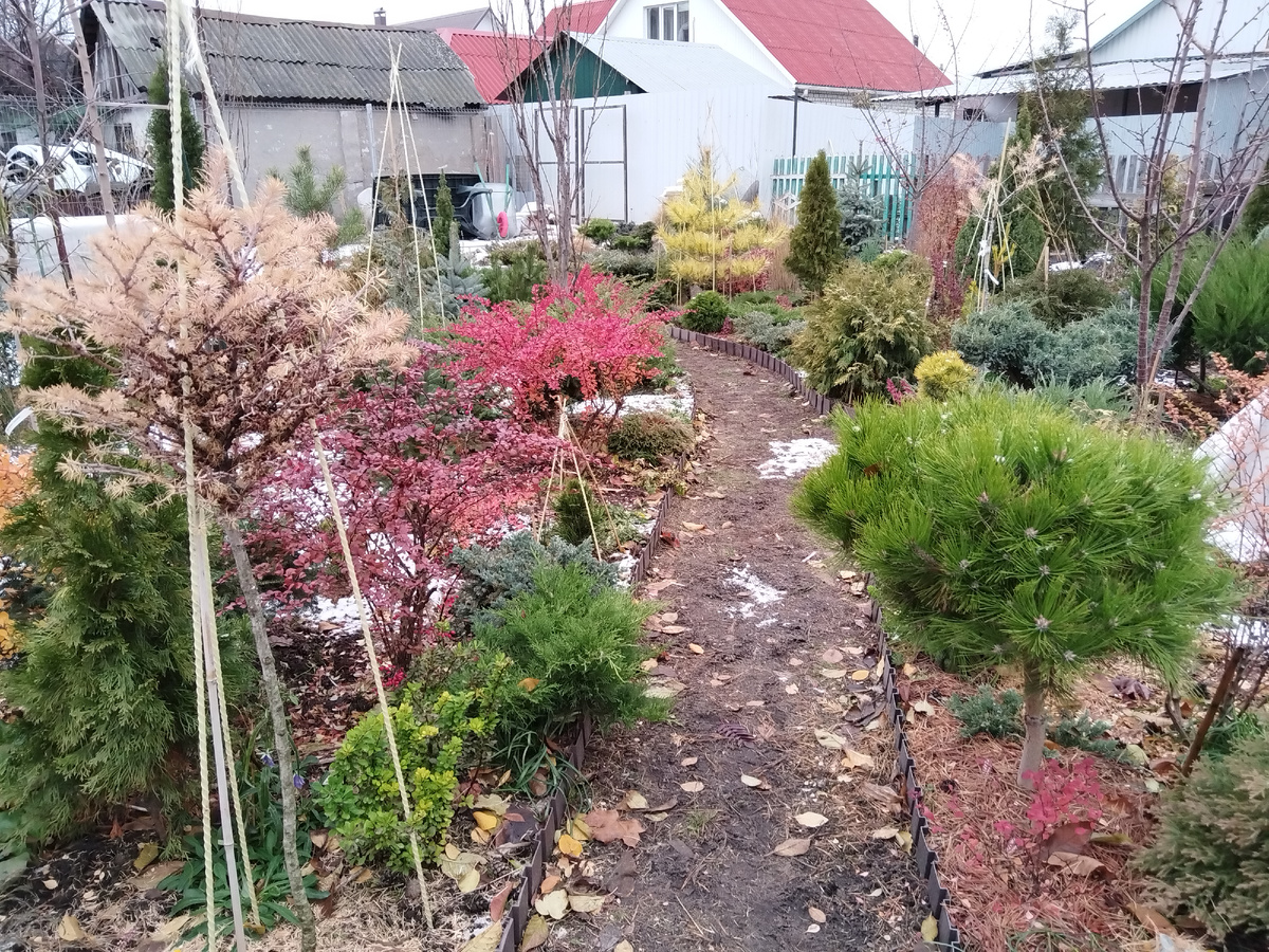 Прекрасное начало зимы - всё, как я люблю