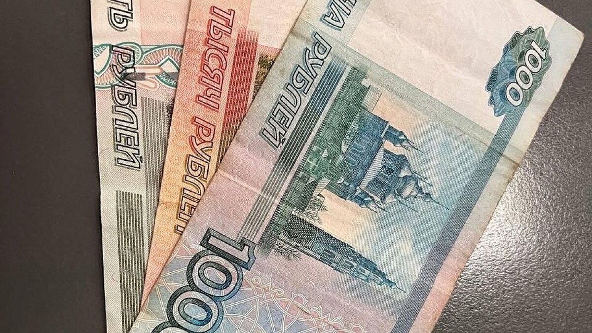    Фото: телеканал «Краснодар»