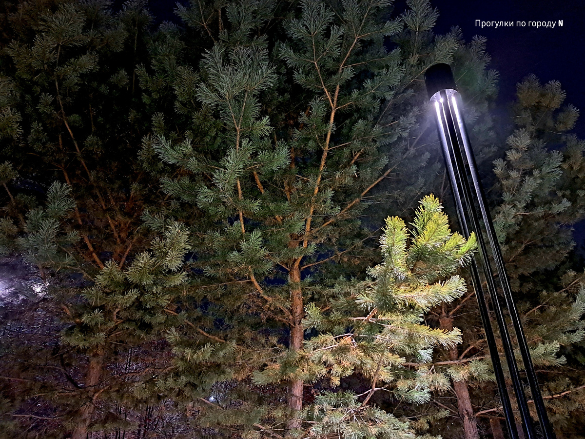 Затулинский парк