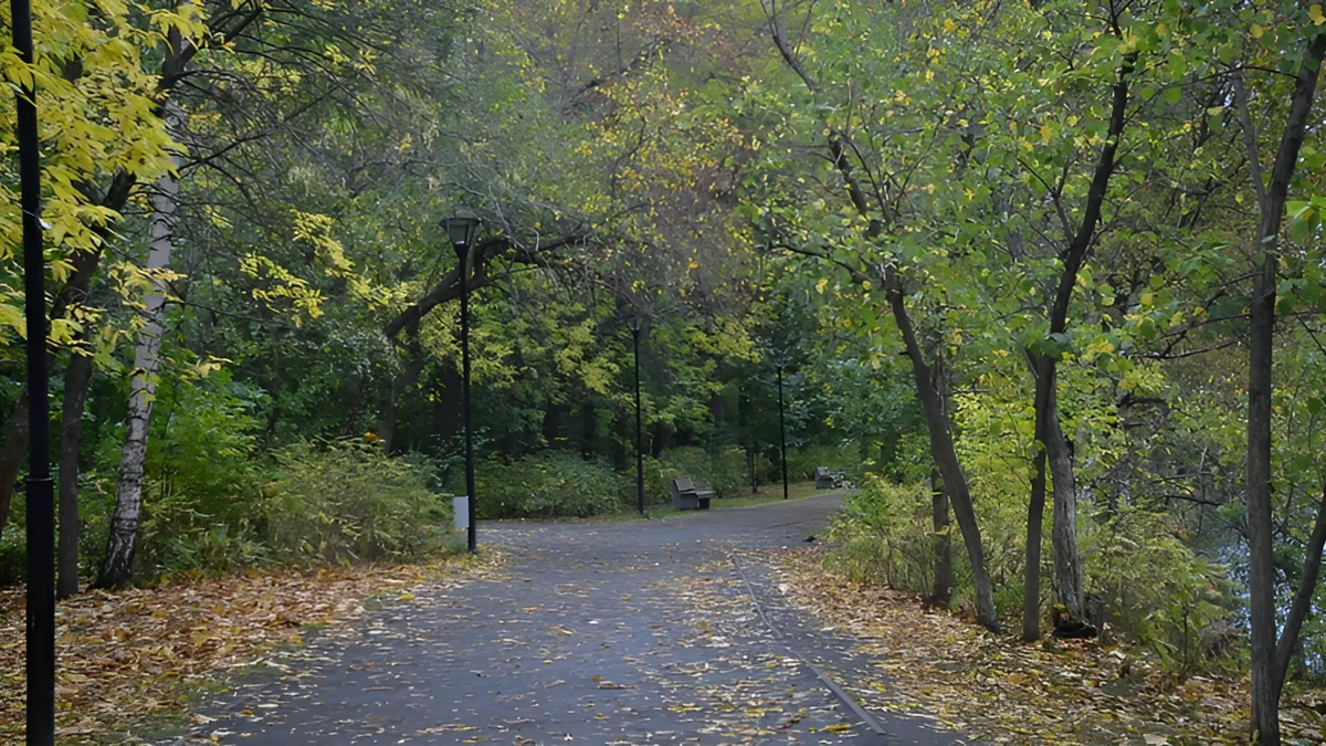 Фото: 1MI. Парк