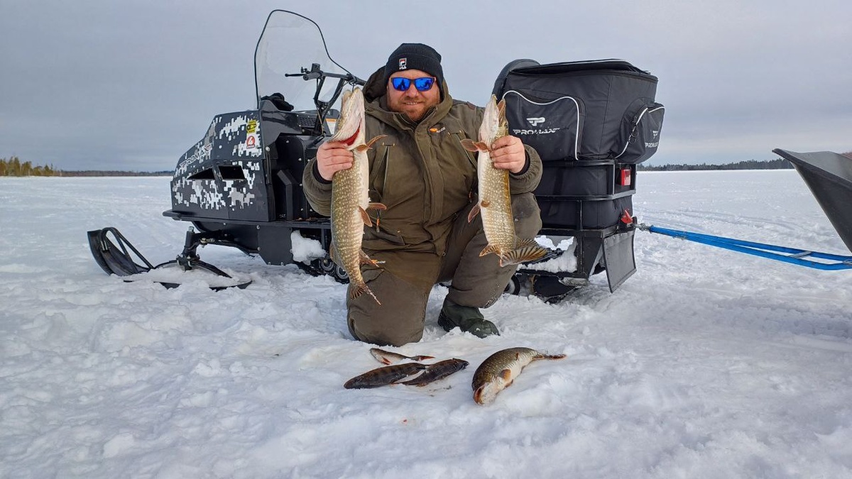 Лучший утилитарный снегоход по соотношению цена-качество