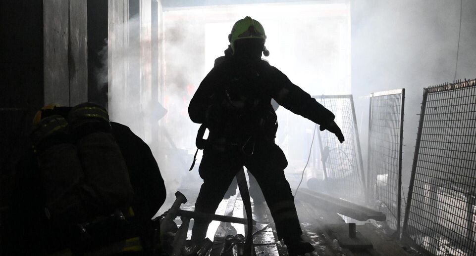    РИА «Новости»