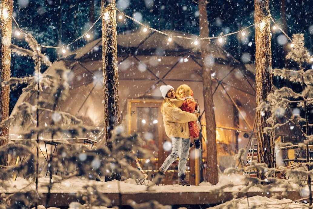 Новый год в отеле "Вили Улей"