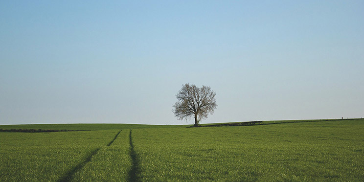 Сколько ведущих линий используется в композиции этого снимка? Как минимум, три / Фото: unsplash.com