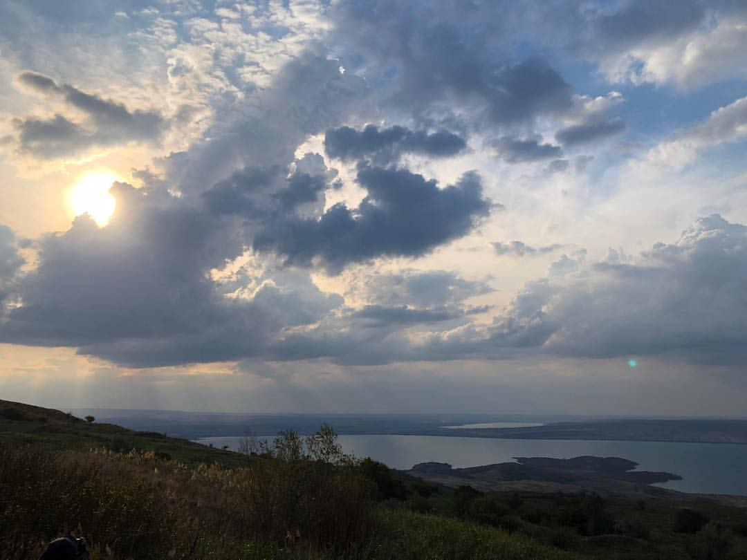 домашний архив