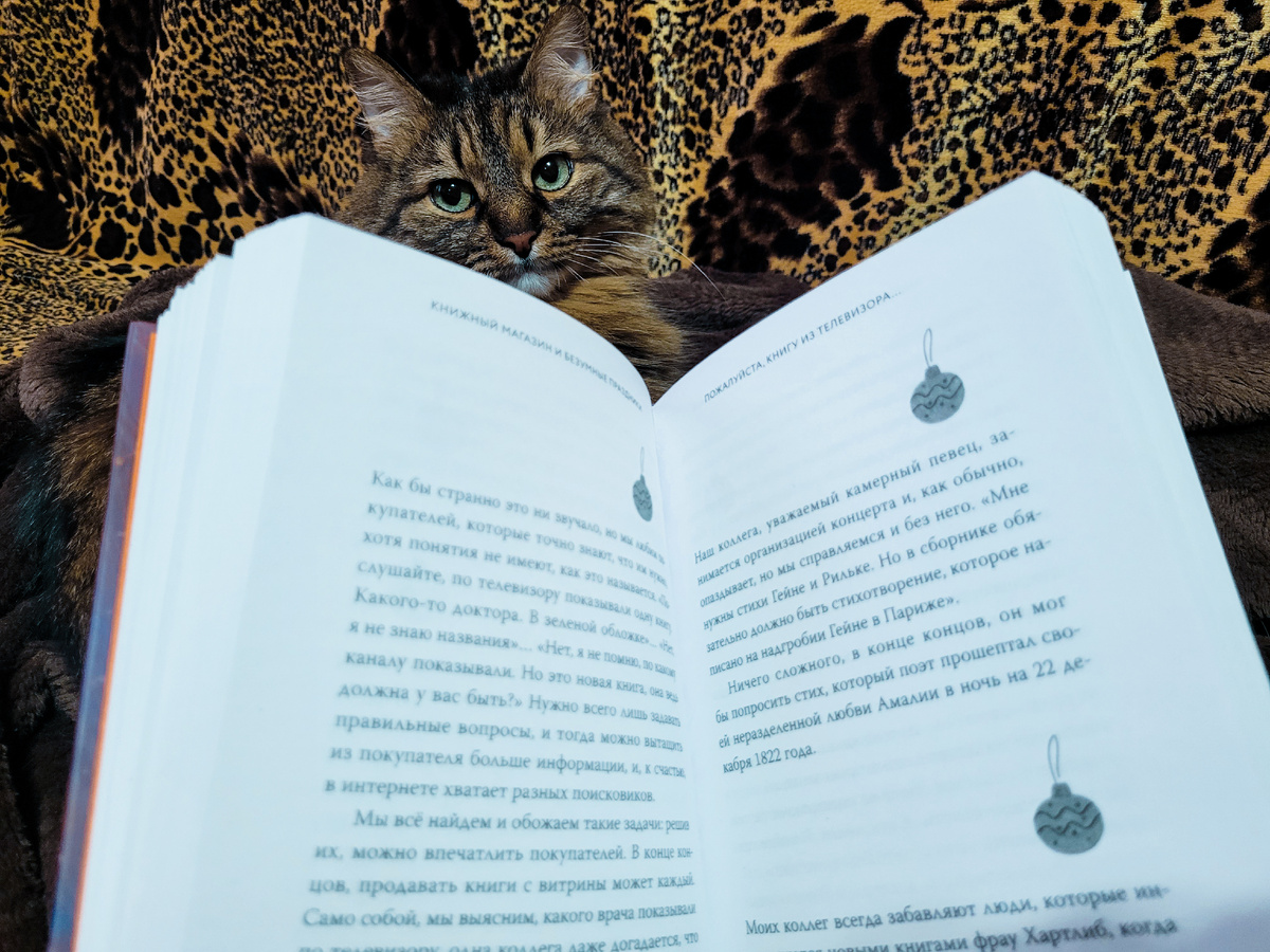 Тут мы показываем, как празднично украшены странички книги