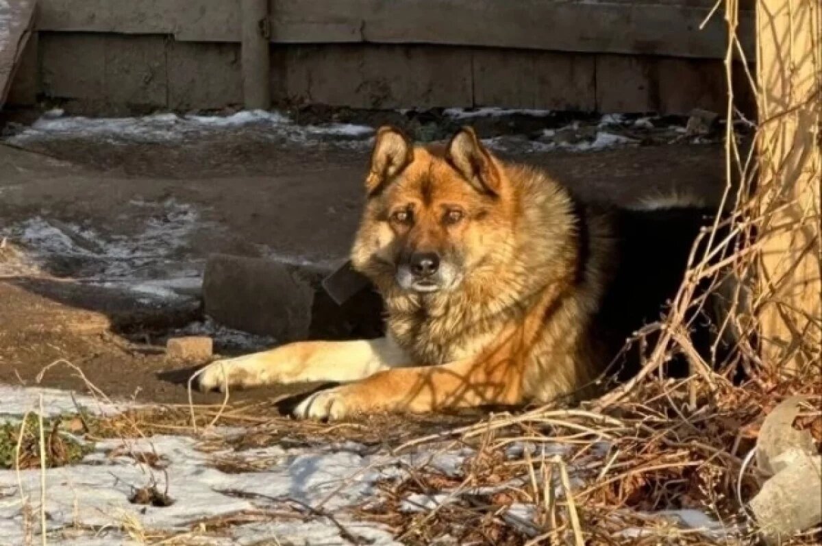    В квартире места нет.