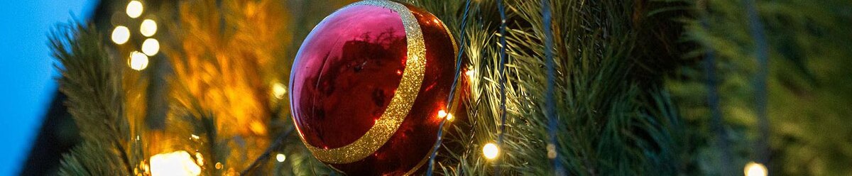    Фото: Антон Вергун