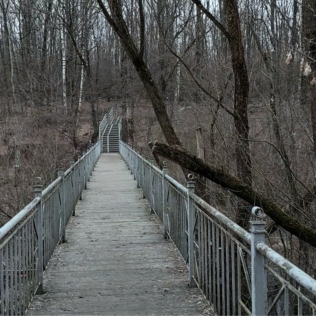 Фото автора.