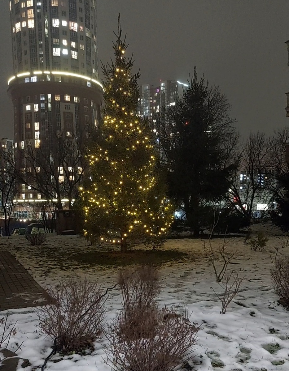 Фото автора.