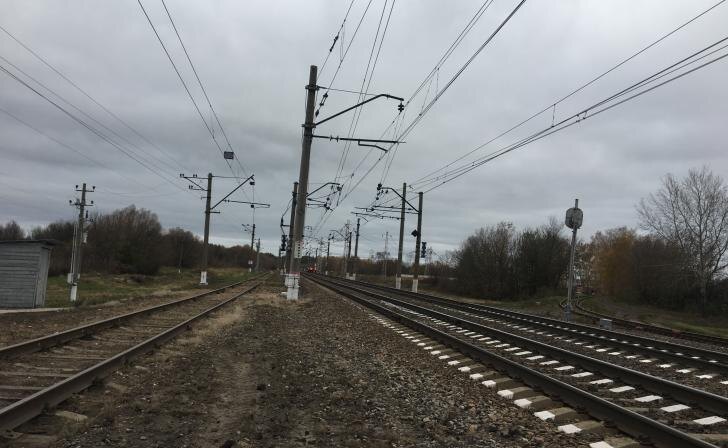    фото Курские известия