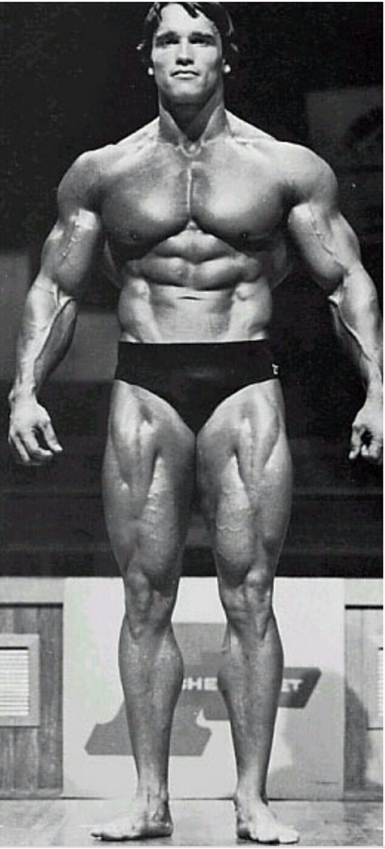 Арнольд Шварценеггер. Рост 188 см, соревновательный вес 107 кг. Источник https://yandex.ru/images/ 