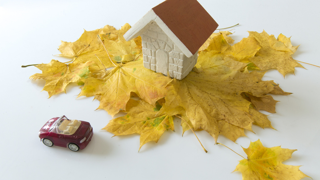    Nikolay Gyngazov/Global Look Press