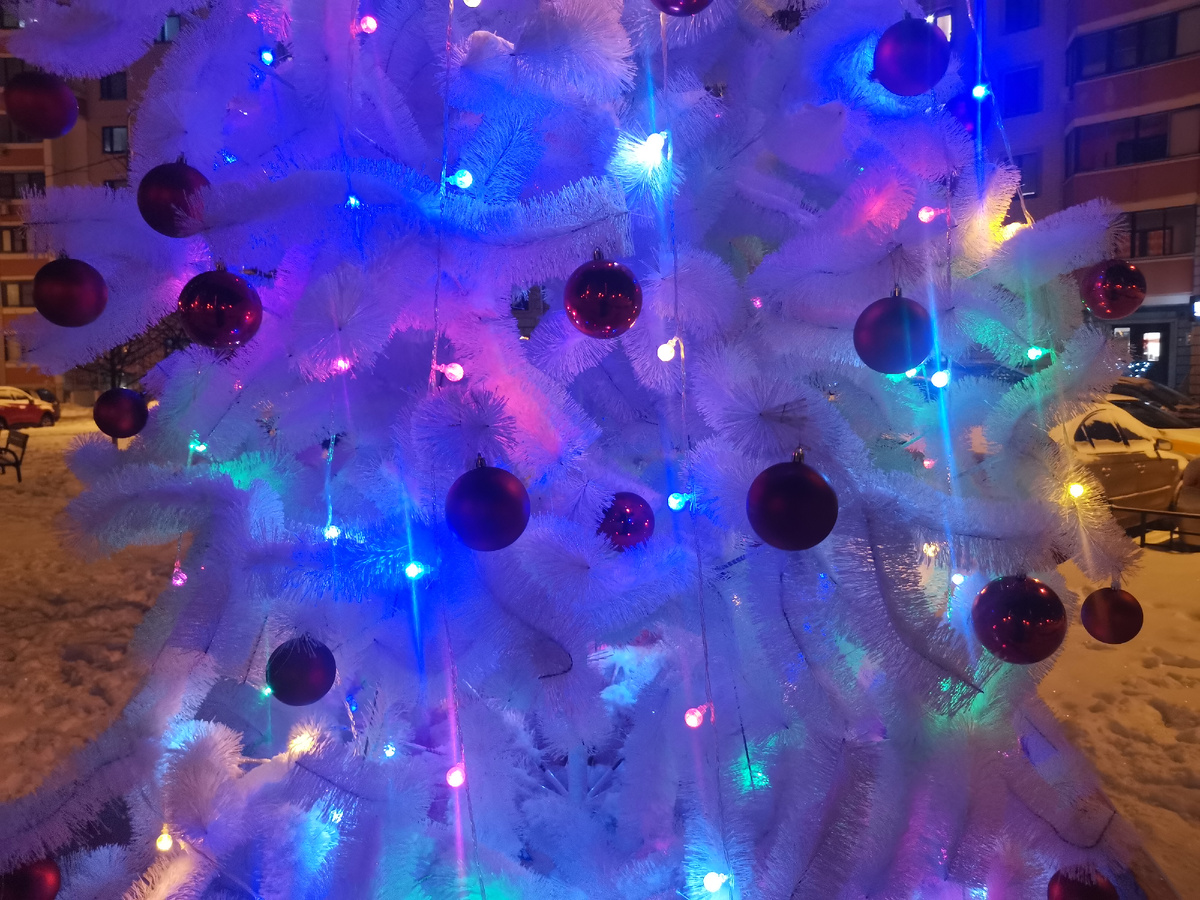 Украшается каждый двор города. Фото автора.