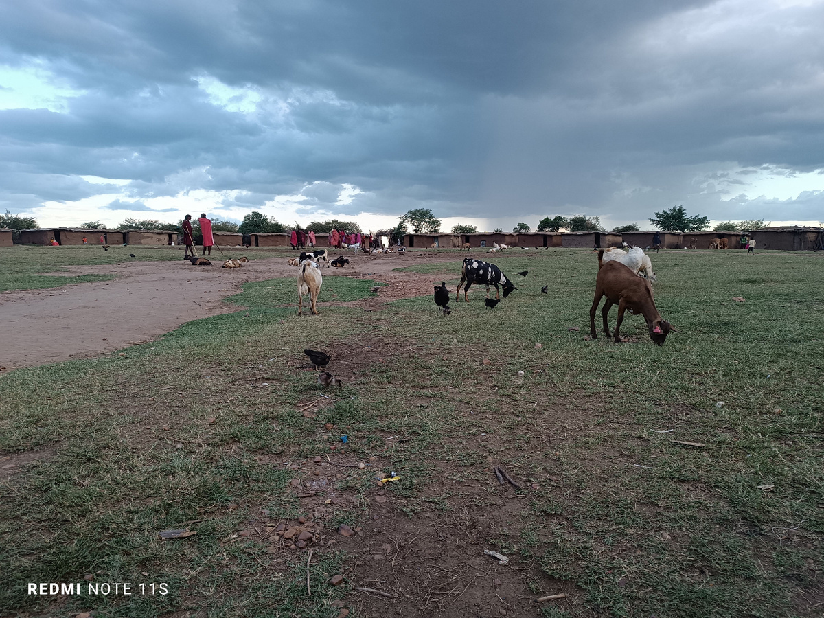 Так выглядит майская деревня