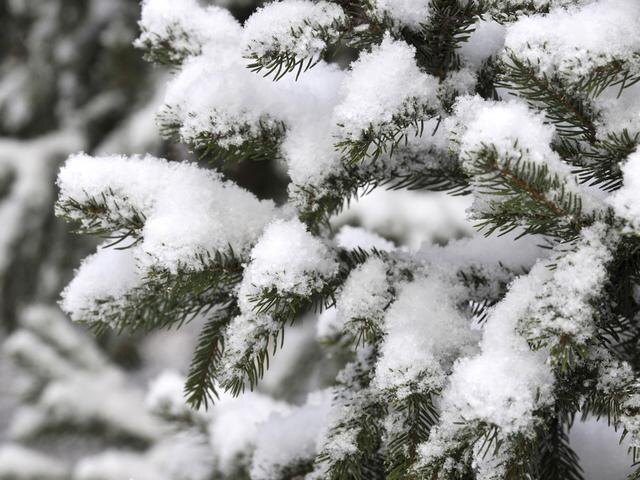 Фото Вадима Заблоцкого