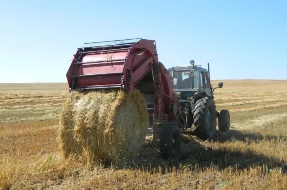    Аграриям возместят ущерб от засухи в Забайкалье