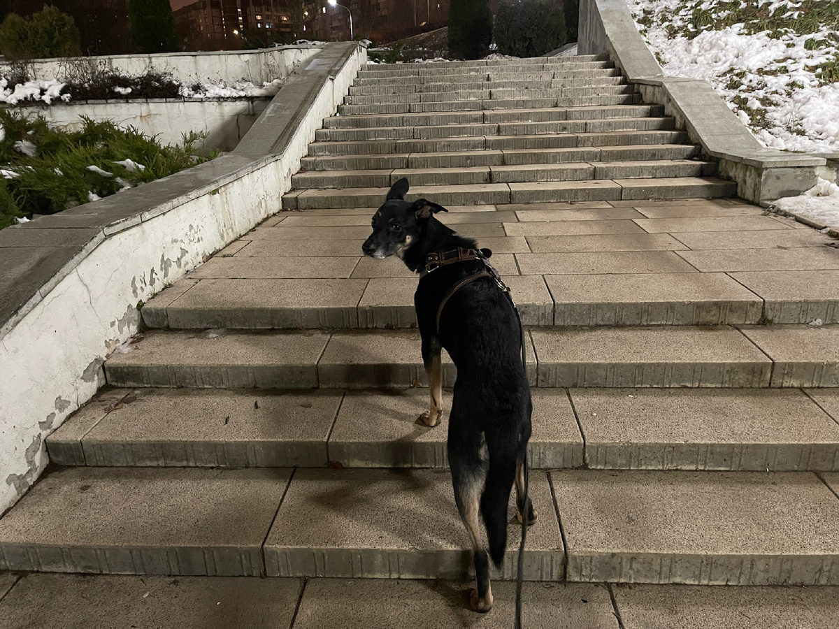 Ну вы там как, поднимаетесь? Я посмотреть, конечно, хочу, но один не пойду.