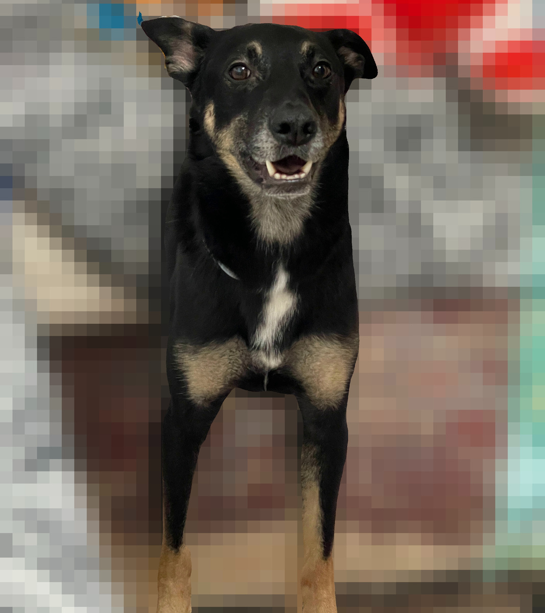 А для своих я просто Рокки!