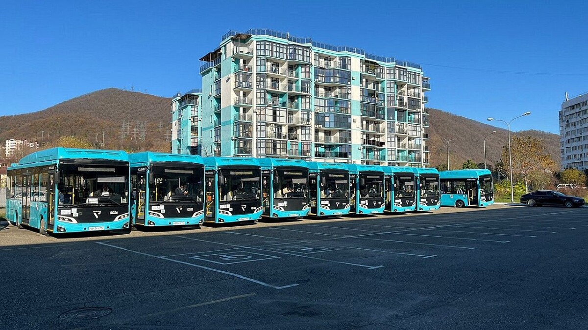    Фото: пресс-служба администрации Сочи