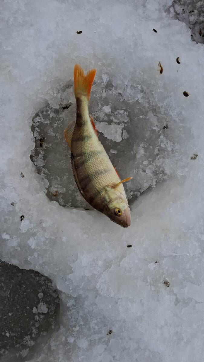 Первый пошел.