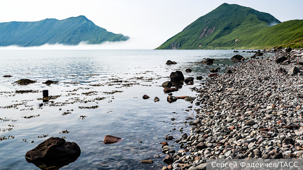     Фото: Сергей Фадеичев/ТАСС   
 Текст: Мария Иванова