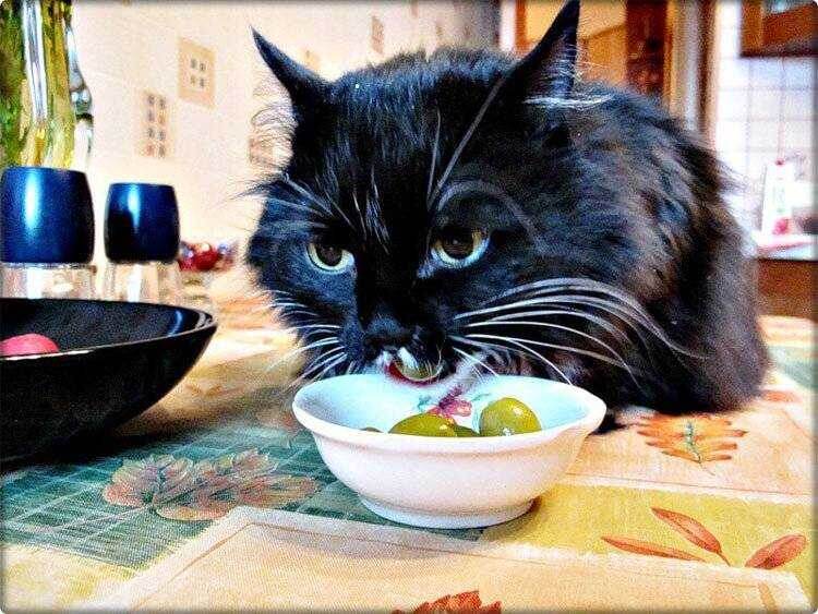 Фото из Интернета.