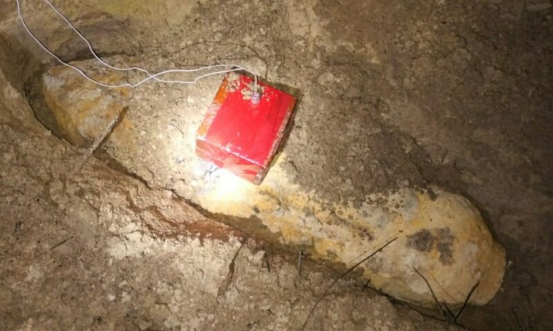    Фото t.me/rosgvard_krasnodar