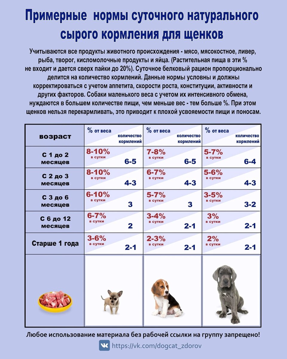 Примерные нормы суточного рациона из группы https://vk.com/dogcat_zdorov