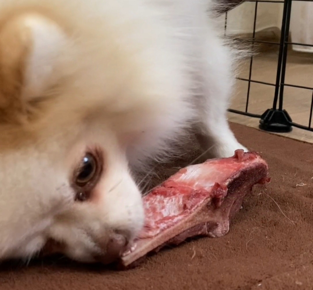 Если вы не в курсе, то рада сообщить, что Ася Шпиц - сыроед