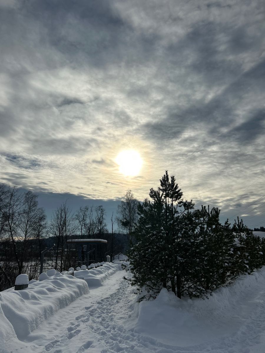 Территория отеля 