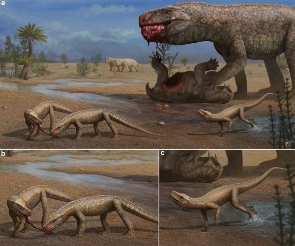 Ландшафт среднего-позднего триаса на юге Бразилии: (а) крупный Prestosuchus chiniquensis питается тушей дицинодонта, в то время как особи Parvosuchus aurelioi конкурируют за остатки; (б) и (в) изображают детали особей Parvosuchus aurelioi.