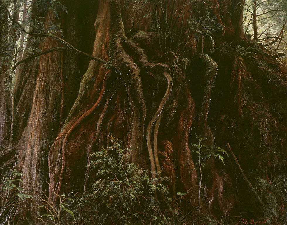Алексей Зотов. Корень секвойи. Холст, масло, 70х90