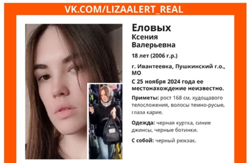 Фото: ориентировка «ЛизаАлерт»