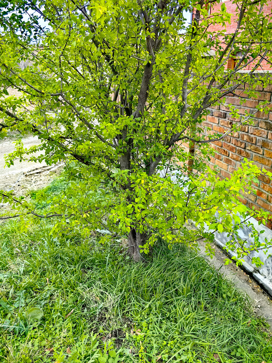 Сегодня. Фото автора канала