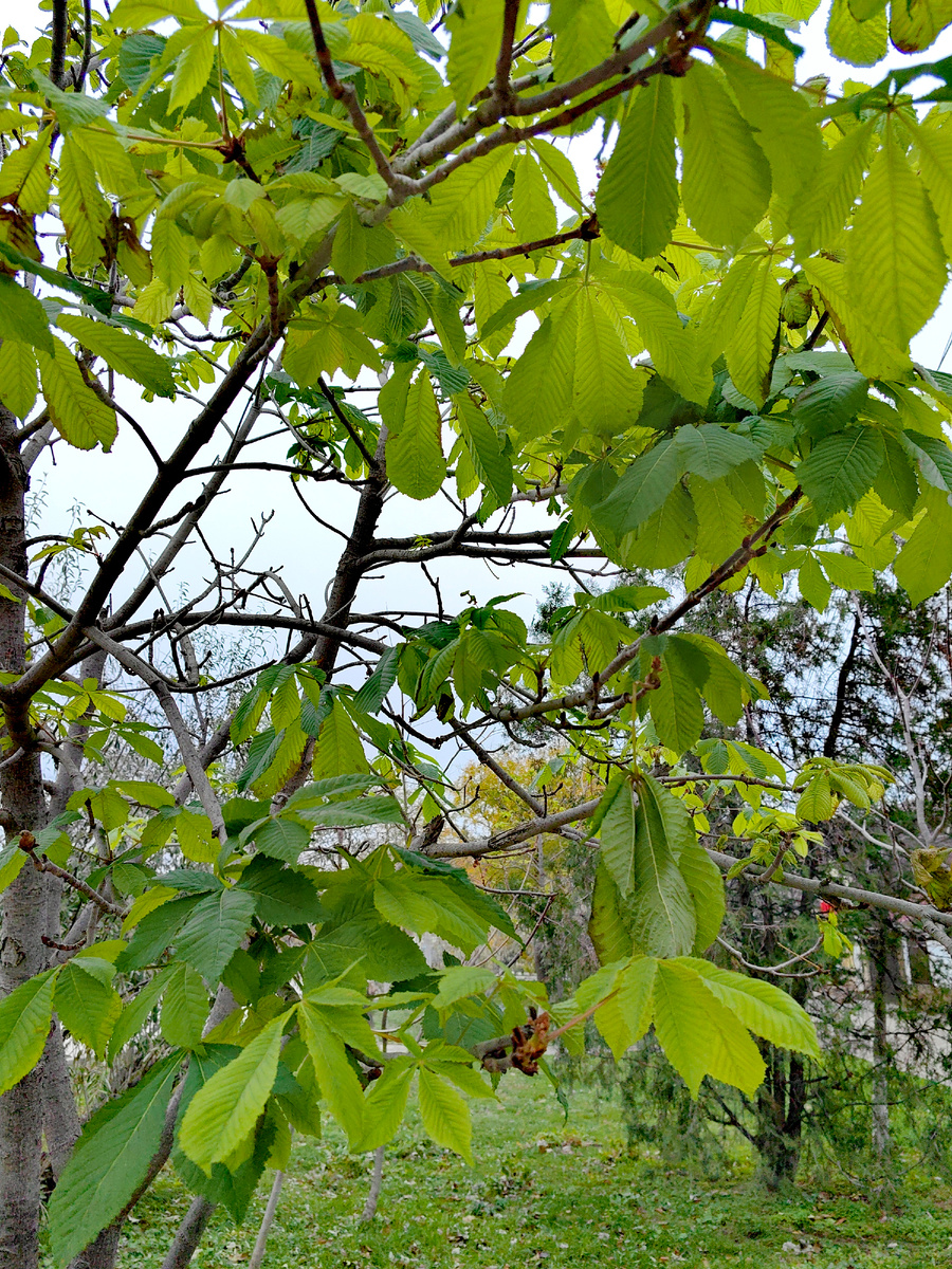 Сегодня. Фото автора канала