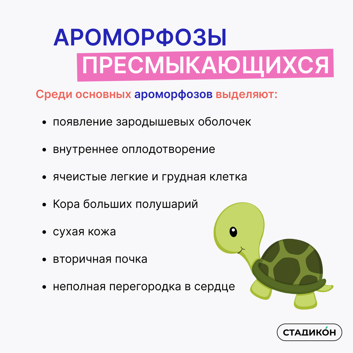 Основные ароморфоз пресмыкающихся