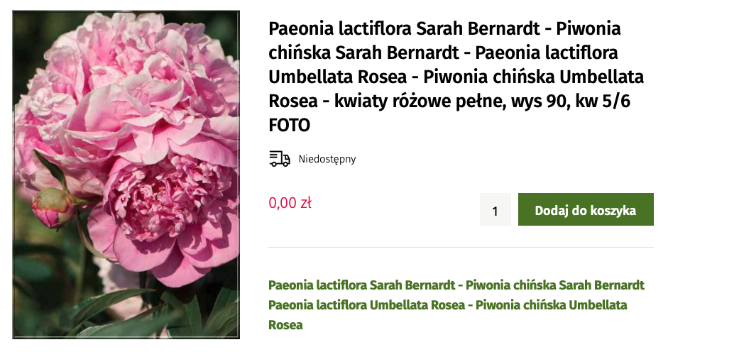 Скриншот с сайта https://www.iglaki24.pl/p8629,paeonia-lactiflora-sarah-bernardt-piwonia-chinska-sarah-bernardt-paeonia-lactiflora-umbellata-rosea.html