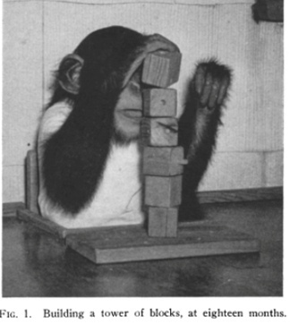 Малышка Вики