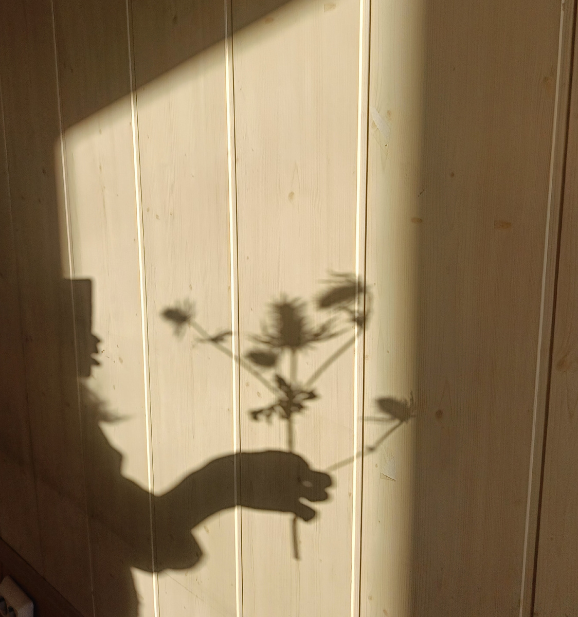 Зимнее солнце в мастерской. 