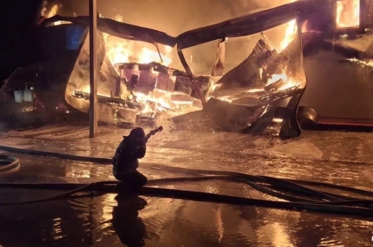    Два человека погибли при пожарах в Новосибирской области