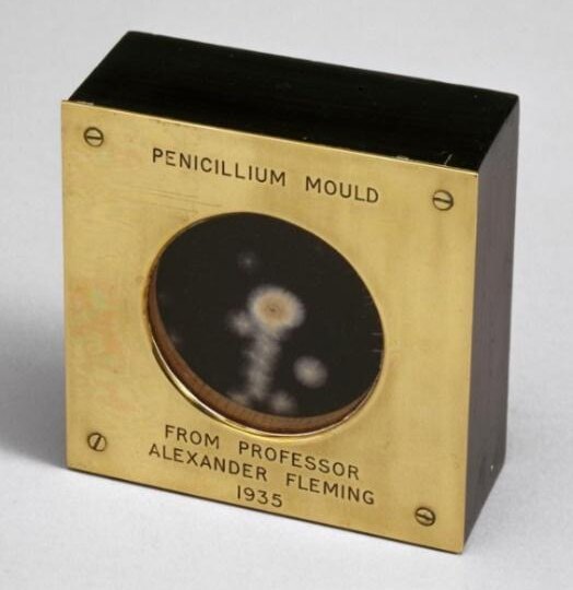 Фаги vs антибиотики: в чем между ними разница?